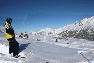  自由式滑雪课程